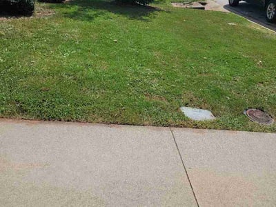 Lawn care service in Simpsonville, 29680