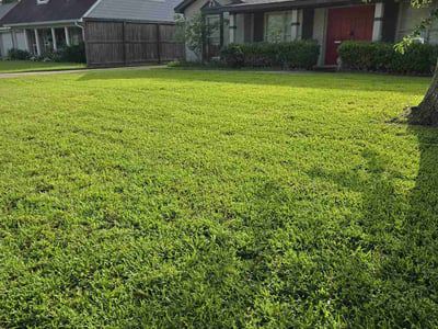 Lawn care service in Houston, 77043