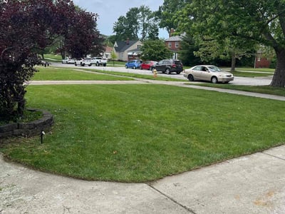 Lawn care service in Parma, 44134