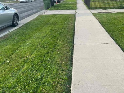 Lawn care service in Los Angeles, 90047