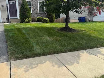 Lawn care service in Fredericksburg, 22405