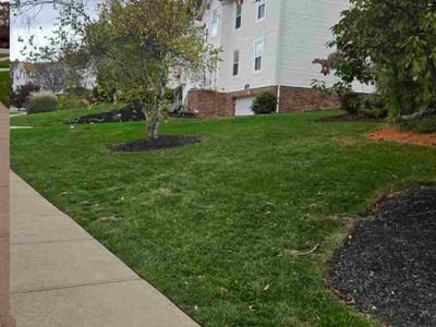 Lawn care service in Moon Township, 15108