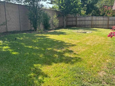 Lawn care service in Mansfield, 76063