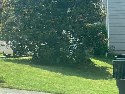Lawn care service in Marietta, 30066