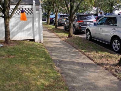 Lawn care service in Staten Island, 10309
