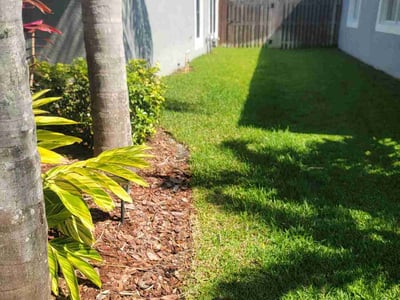 Lawn care service in Tampa, 33626