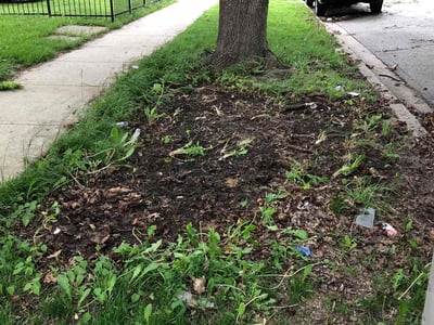 Lawn care service in , 