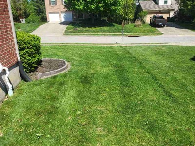 Lawn care service in Hebron, 41048
