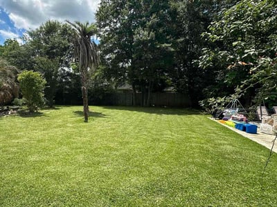 Lawn care service in Mobile, 36695