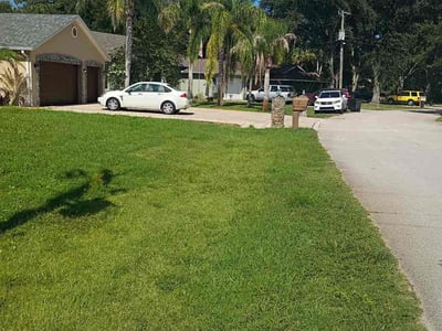 Lawn care service in Palm Coast, 32164