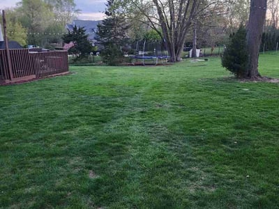Lawn care service in Arlington Heights, 60004