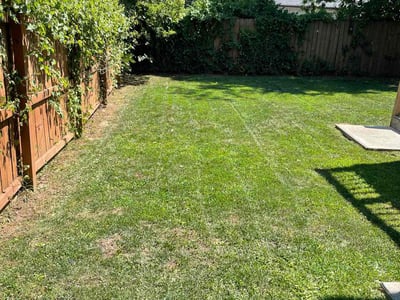Lawn care service in Atlanta, 30314