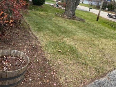 Lawn care service in Racine, 53402