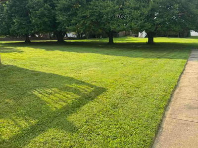 Lawn care service in Wilmington, 19808