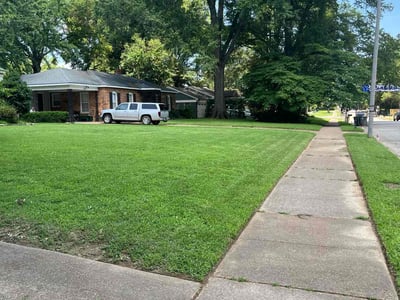 Lawn care service in Memphis, 38117