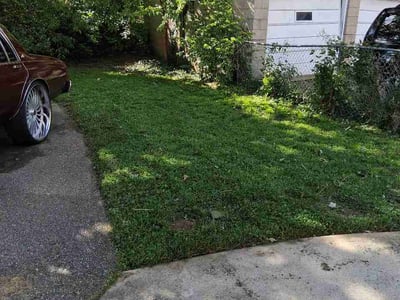 Lawn care service in Cincinnati, 45205