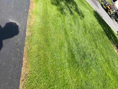 Lawn care service in Glenmont, 12077