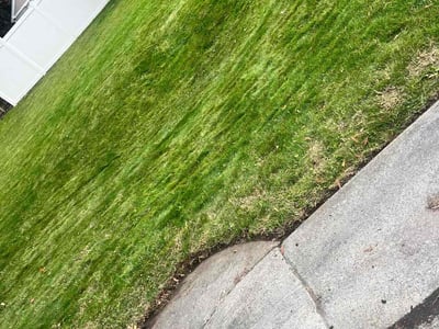 Lawn care service in Spokane Valley, 99216
