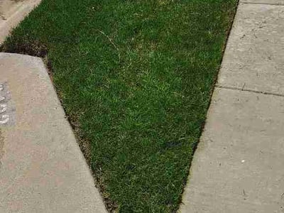 Lawn care service in Fort Worth, 76179