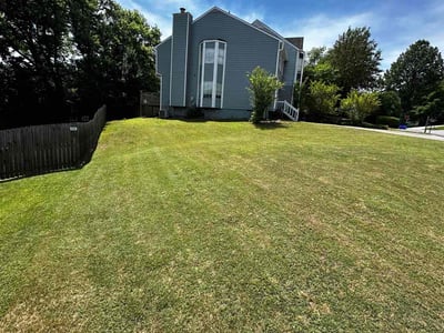 Lawn care service in Smyrna, 30082
