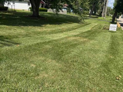 Lawn care service in Lansing, 48911