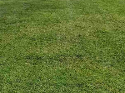 Lawn care service in Allentown, 18104