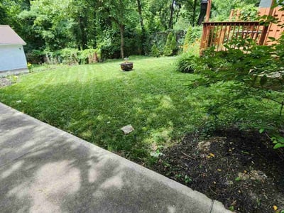 Lawn care service in Cincinnati, 45220