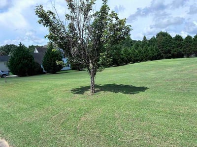 Lawn care service in Stockbridge, 30281