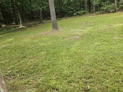 Lawn care service in Durham, 27713