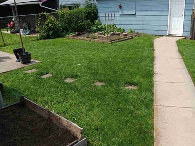 Lawn care service in Minneapolis, 55411