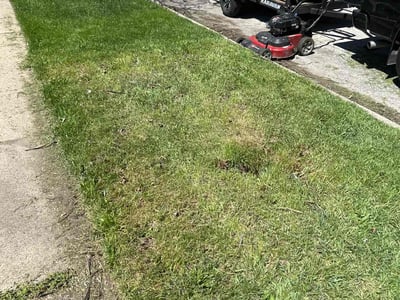 Lawn care service in Chicago, 60628