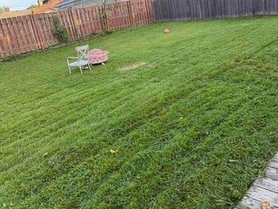 Lawn care service in Indianapolis, 46219