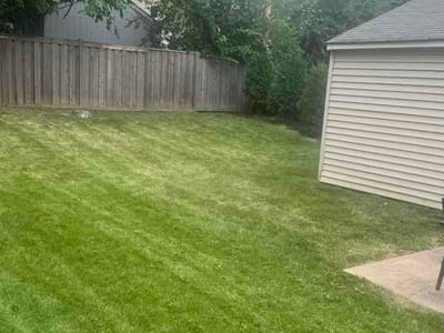 Lawn care service in St. Louis Park, 55426