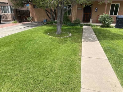 Lawn care service in Albuquerque, 87106