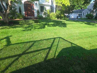 Lawn care service in Wellesley, 02481