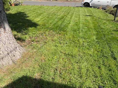 Lawn care service in Portland, 97220