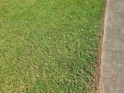 Lawn care service in Greenville, 29607