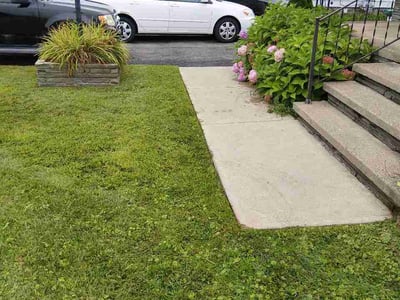 Lawn care service in Rotterdam, 12306