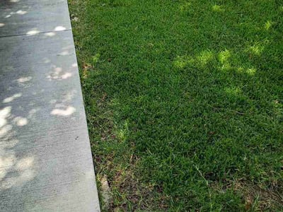 Lawn care service in Round Rock, 78664
