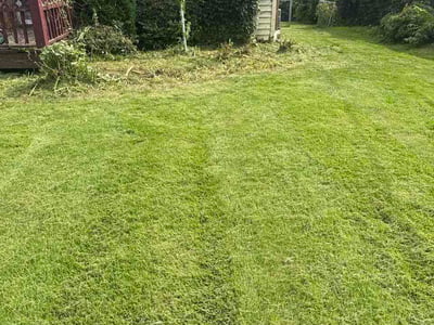 Lawn care service in Omaha, 68104
