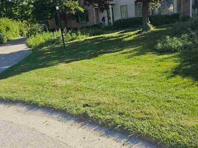 Lawn care service in Brookfield, 53045