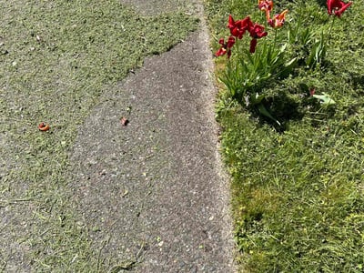 Lawn care service in Portland, 97233