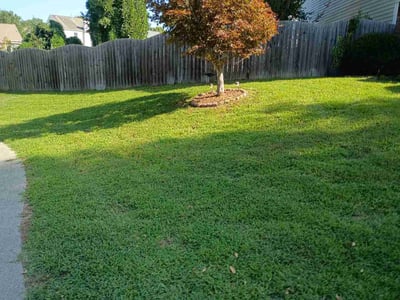 Lawn care service in Fuquay-Varina, 27526