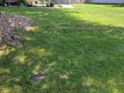 Lawn care service in Avon, 46123