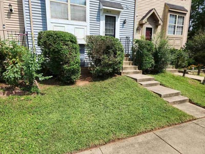 Lawn care service in Manassas, 20111