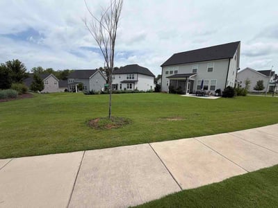 Lawn care service in Knightdale, 27545