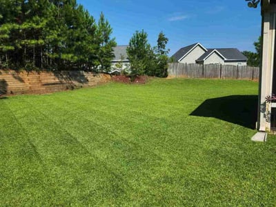 Lawn care service in Chapin, 29036