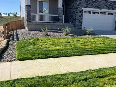 Lawn care service in Parker, 80134