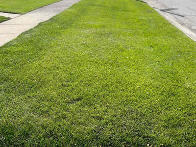 Lawn care service in Park Forest, 60466