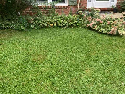 Lawn care service in Silver Spring, 20901